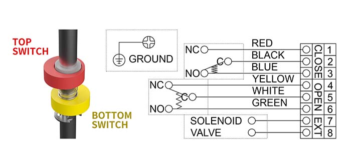 λ_(ki)P(gun)Ӿ(xin)D2