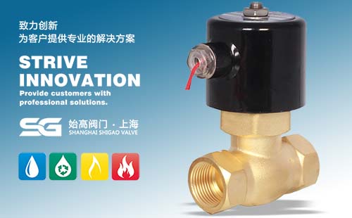 2L黃銅蒸汽電磁閥