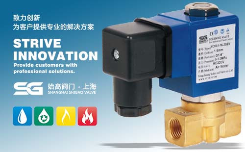 SGH31高壓直動(dòng)式電磁閥