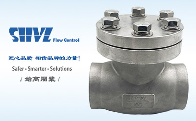 DH61F低溫止回閥