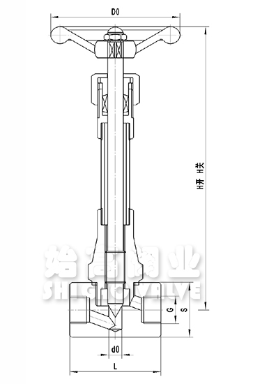 長(cháng)軸低溫針閥尺寸圖