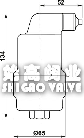高壓不漏液排氣閥尺寸