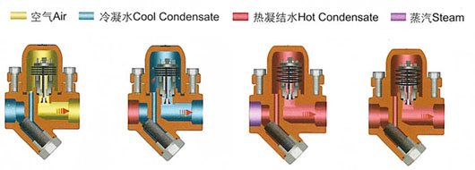 膜盒式蒸汽疏水閥工作原理