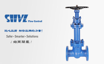 德標波紋管閘閥