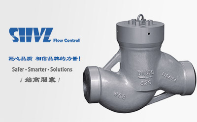 升降式電站止回閥