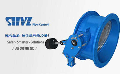 蝶式緩沖止回閥