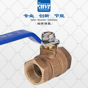 青銅絲扣球閥圖1