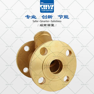 黃銅法蘭過(guò)濾器圖2