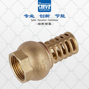 黃銅水泵底閥圖1