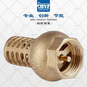 黃銅水泵底閥圖2