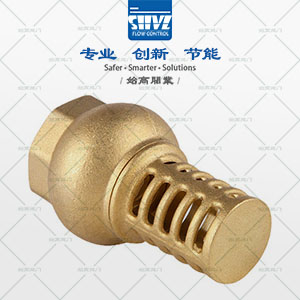 黃銅水泵底閥圖3