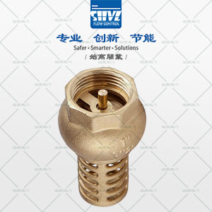 黃銅水泵底閥圖4