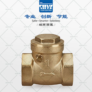 黃銅旋啟式止回閥圖1