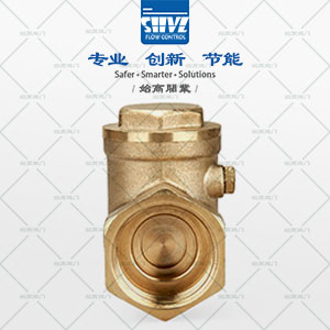黃銅旋啟式止回閥圖2