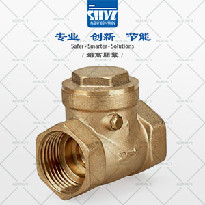 黃銅旋啟式止回閥圖3