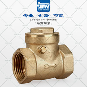 黃銅旋啟式止回閥圖4
