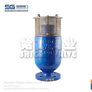 防水錘型排氣閥圖1