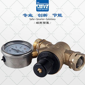 襯氟Y型過(guò)濾器