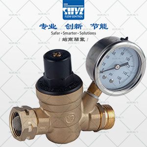 升降式襯氟止回閥