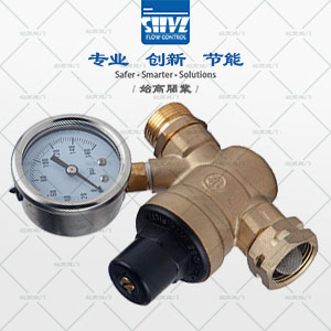 立式襯氟止回閥