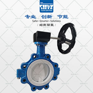 美標襯氟蝶閥圖1