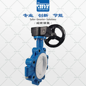 美標襯氟對夾蝶閥圖2