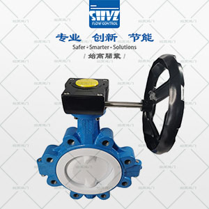 美標襯氟凸耳式蝶閥圖3