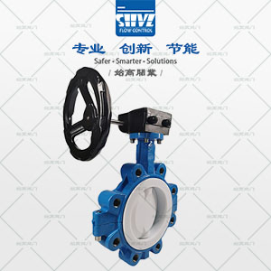 碳鋼美標襯氟蝶閥圖4