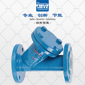 Y型襯氟過(guò)濾器圖2