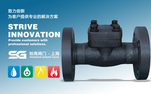 法蘭鍛鋼止回閥