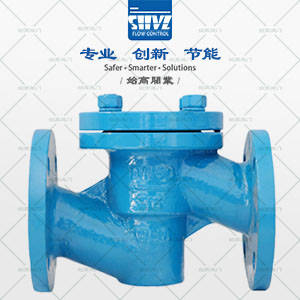 襯氟升降式止回閥圖2