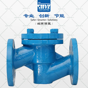 襯氟不銹鋼升降式止回閥圖3