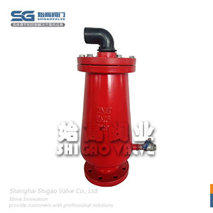 污水專(zhuān)用排氣閥圖1