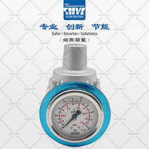 不銹鋼支管減壓閥圖1