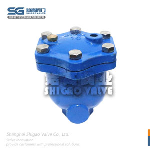 ARSX微量排氣閥圖1