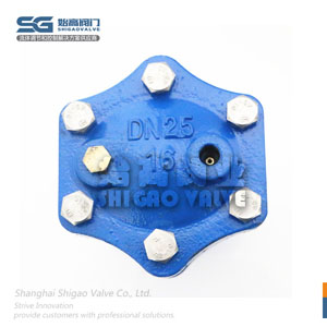 ARSX微量排氣閥圖4