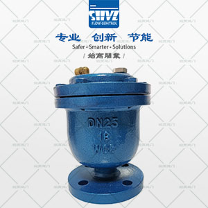 法蘭微量排氣閥圖2