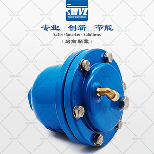 內螺紋微量排氣閥圖4