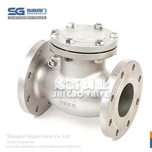 不銹鋼美標止回閥圖3