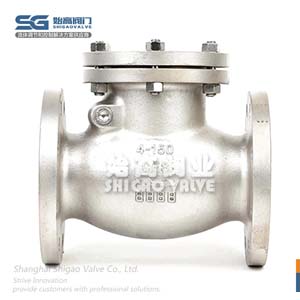 不銹鋼美標止回閥圖4