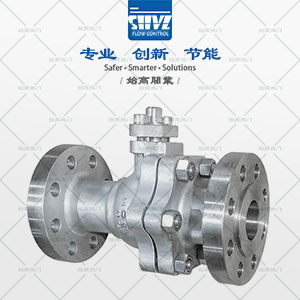 法蘭美標球閥圖4