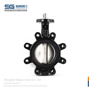 無(wú)頭凸耳對夾蝶閥圖2