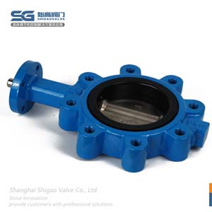 無(wú)頭凸耳對夾蝶閥圖3