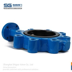 無(wú)頭凸耳對夾蝶閥圖4