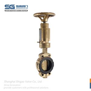 C95800船用蝶閥圖1