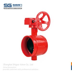 蝸輪溝槽式蝶閥圖1