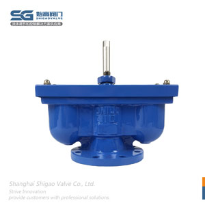 鑄鐵雙口排氣閥