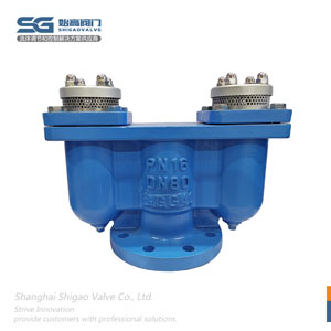 德標雙口排氣閥