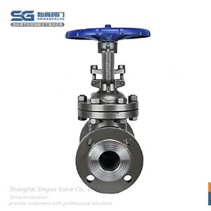 鑄鋼法蘭閘閥圖4