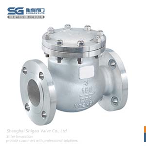 美標旋啟式止回閥圖4